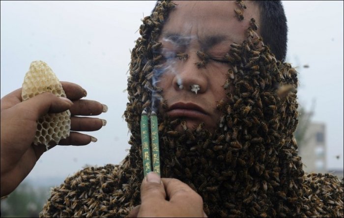 330 тысяч пчел на теле (3 фото)