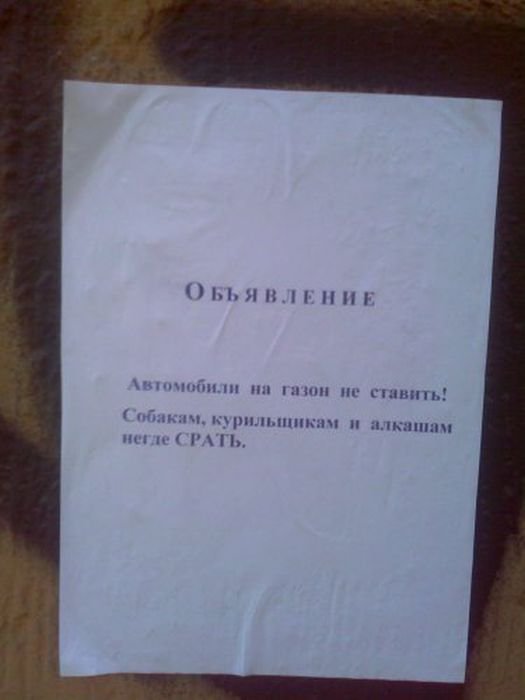 Послания от соседей (50 фото)