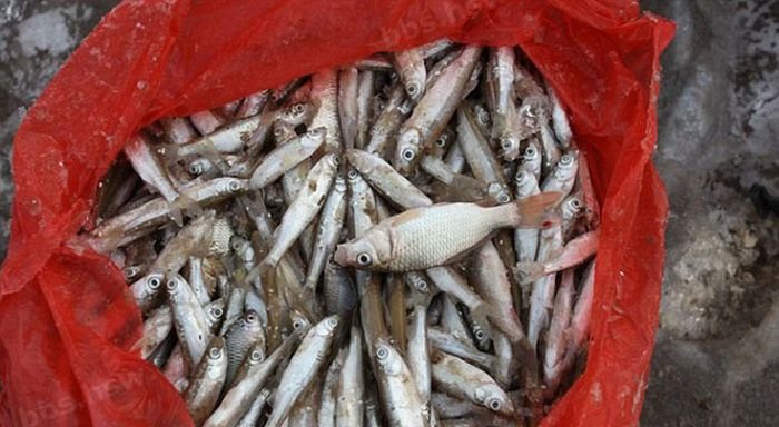 Зимняя рыбалка по-китайски (9 фото)