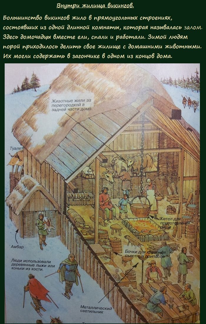 Как жили викинги (7 фото)