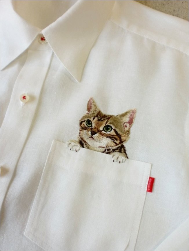 Кот в кармане (12 фото)