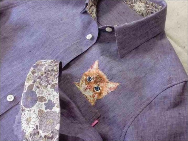 Кот в кармане (12 фото)