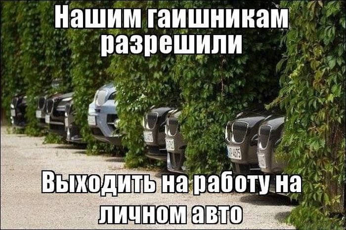 Автомобильные приколы. Часть 25 (40 фото)