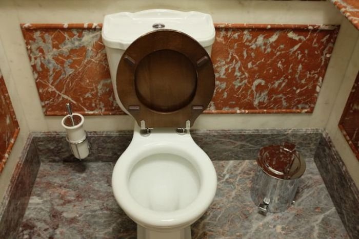 Роскошный общественный туалет в Москве (8 фото)