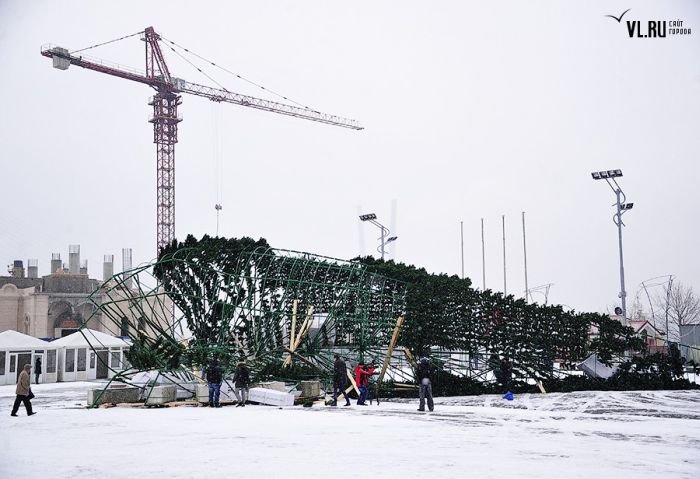 Во Владивостоке упала новогодняя ель (18 фото)