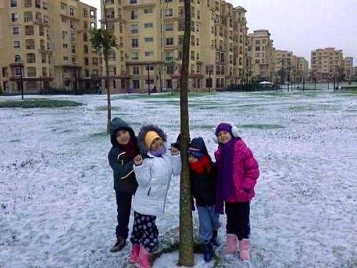 В Египте выпал снег (27 фото)