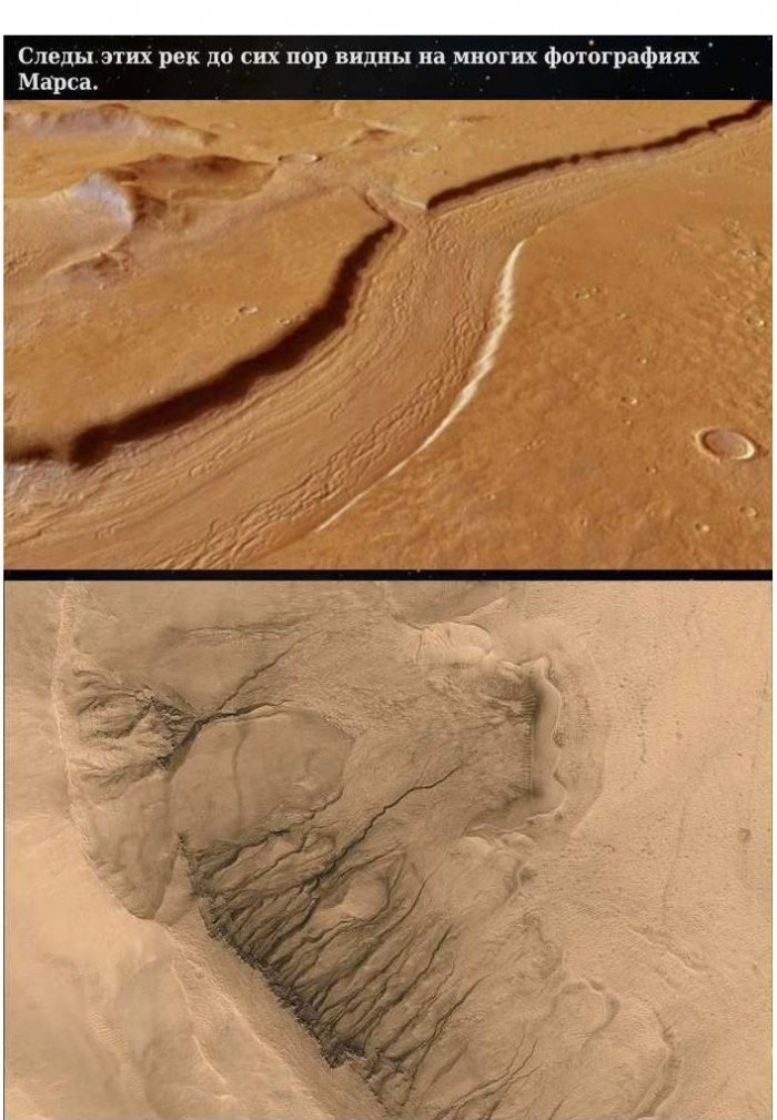 Про жизнь на Марсе (38 фото)