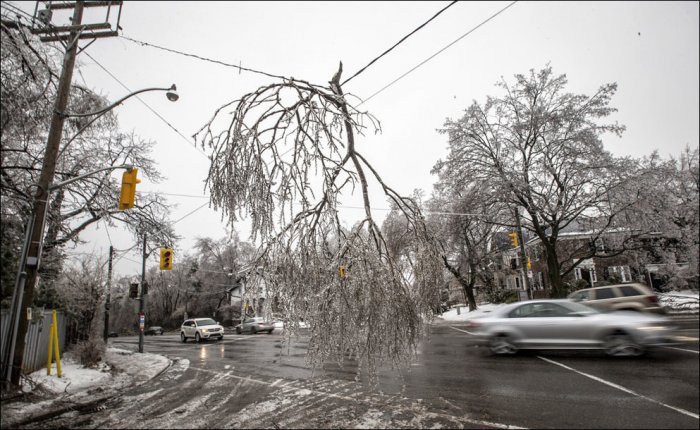 После ледяного шторма в Канаде (17 фото)