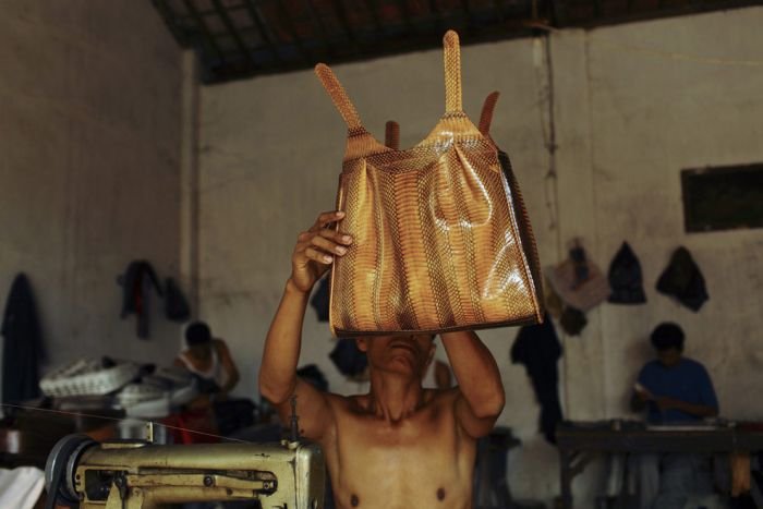 Как делают сумки из змеиной кожи (22 фото)