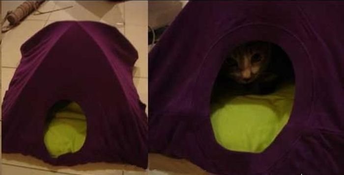 Самодельный домик для кота (3 фото)