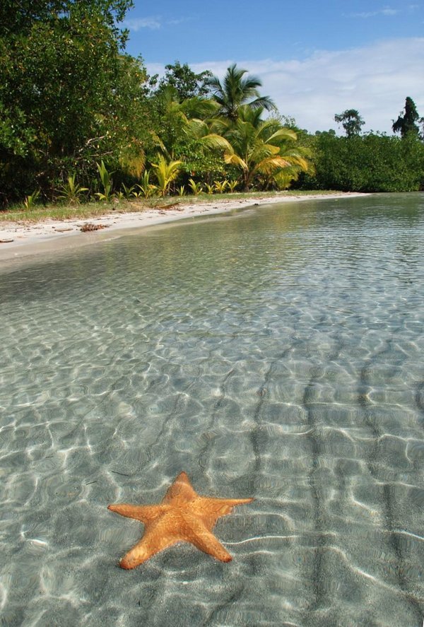 Звездный пляж в Панаме (13 фото)