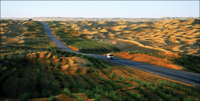 Самая длинная дорога через пустыню (7 фото)