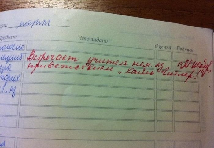 Загонные записи в школьных дневниках (32 фото)
