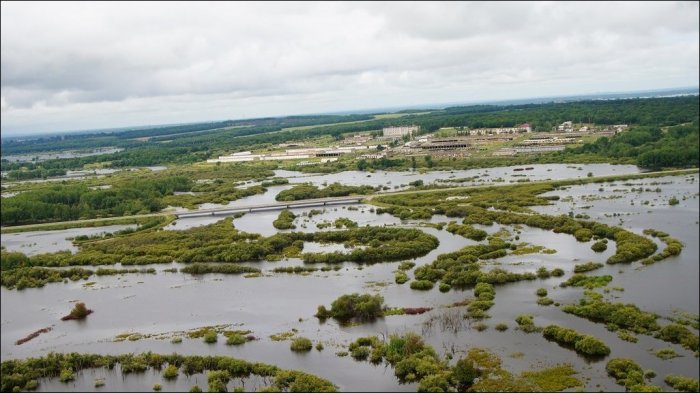 Наводнение в Хабаровске (15 фото)