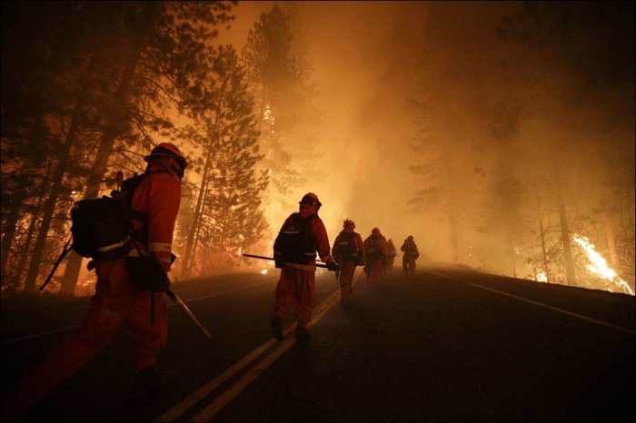 Лесные пожары в национальном парке Йосемити (20 фото)