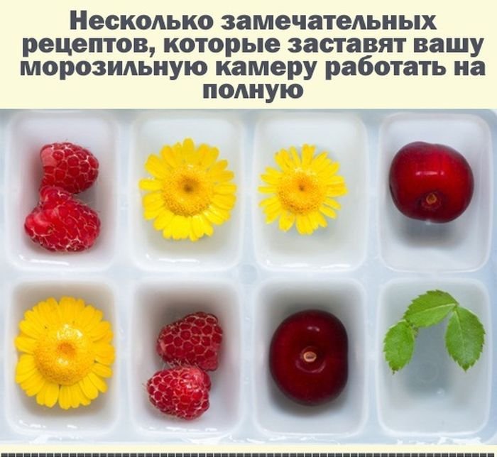 Рецепты в форме для льда (12 фото)