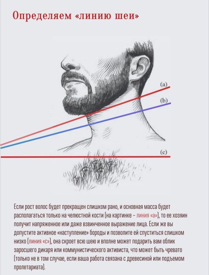 Как нужно отращивать бороду (9 фото)