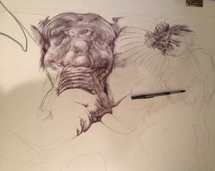 Процесс создания рисунка карандашом (25 фото)