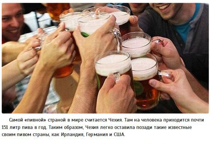 Факты об алкоголе (25 фото)