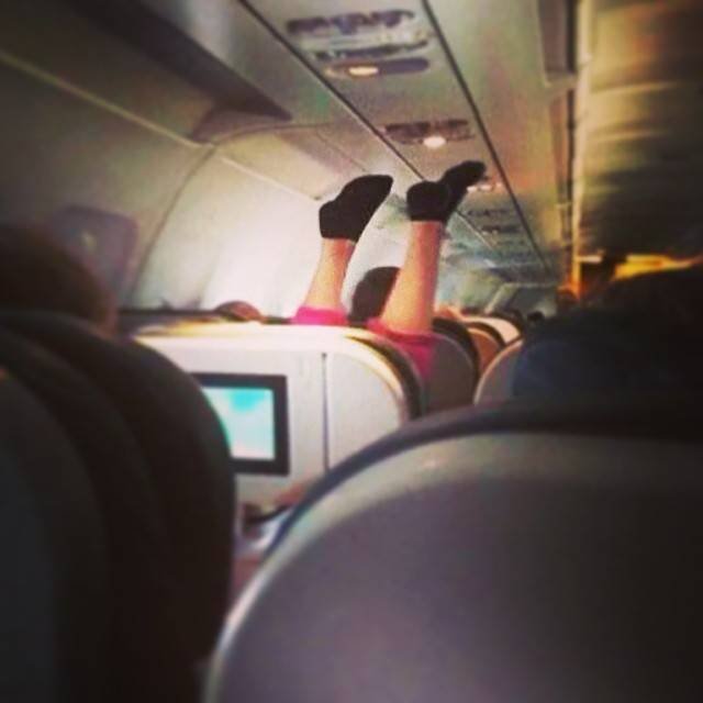Ужасные пассажиры самолетов (26 фото)