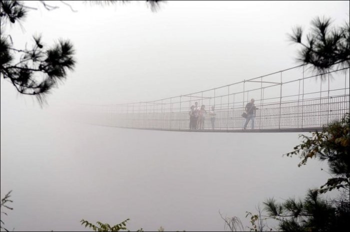 Мост не для слабонервных (7 фото)