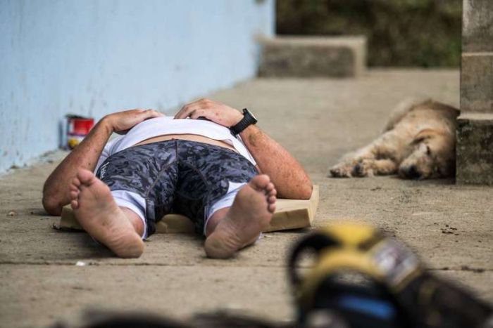 Бездомная собака подружилась со спортсменами (20 фото)