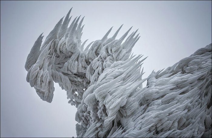 Снежное царство (9 фото)