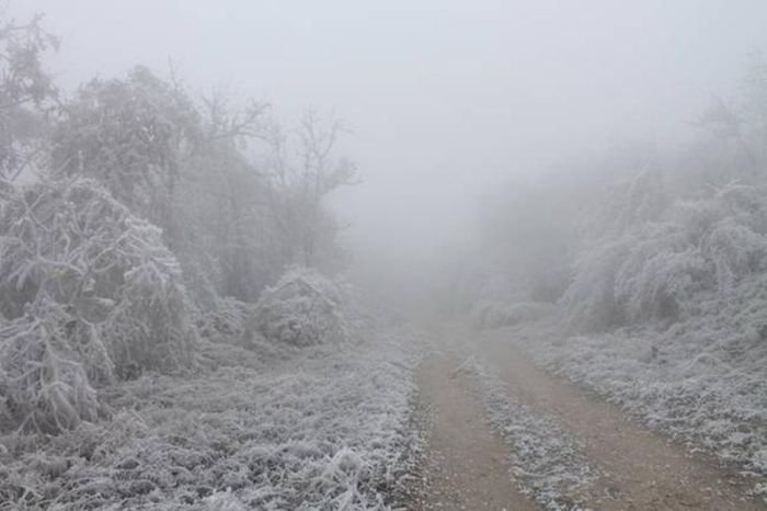 Замораживающий туман (6 фото)