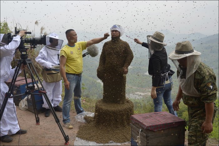 45 килограмм пчел на человеке (12 фото)