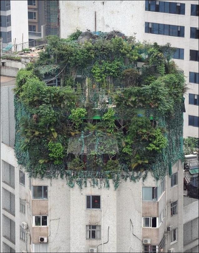 Китаец пристроил два этажа к своей квартире (4 фото)