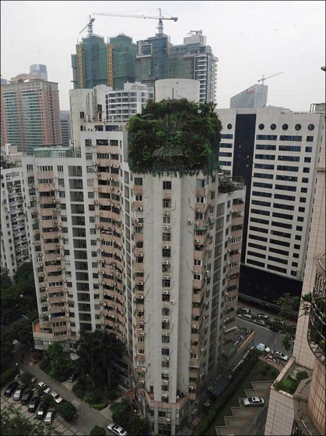 Китаец пристроил два этажа к своей квартире (4 фото)