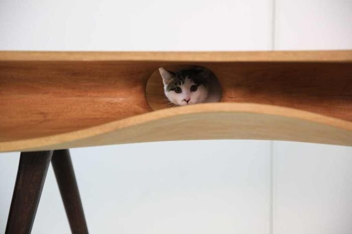 Стол для кота (6 фото)