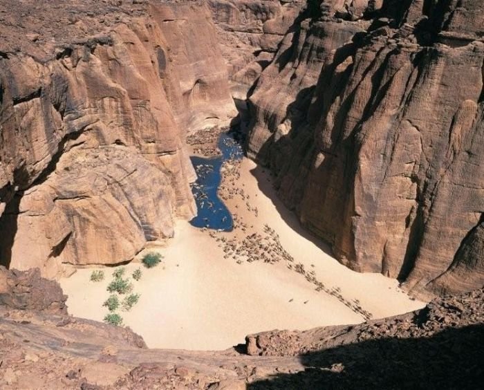 Оазис в пустыне (12 фото)