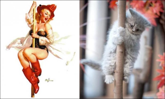 Коты и девушки в стиле пин-ап (42 фото)