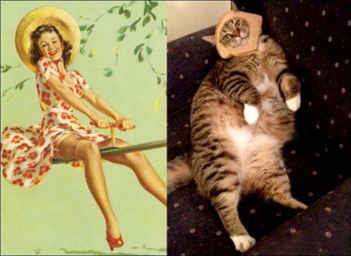 Коты и девушки в стиле пин-ап (42 фото)