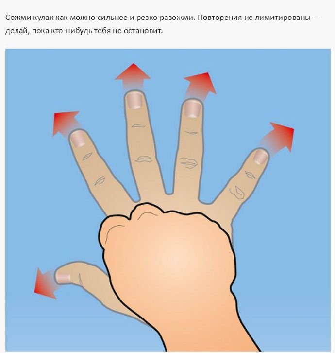 Как натренировать мышцы рук (12 фото)