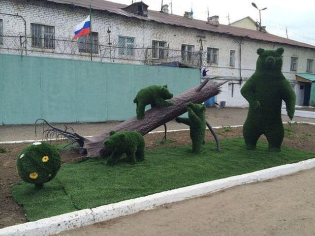 Только в России (45 фото)