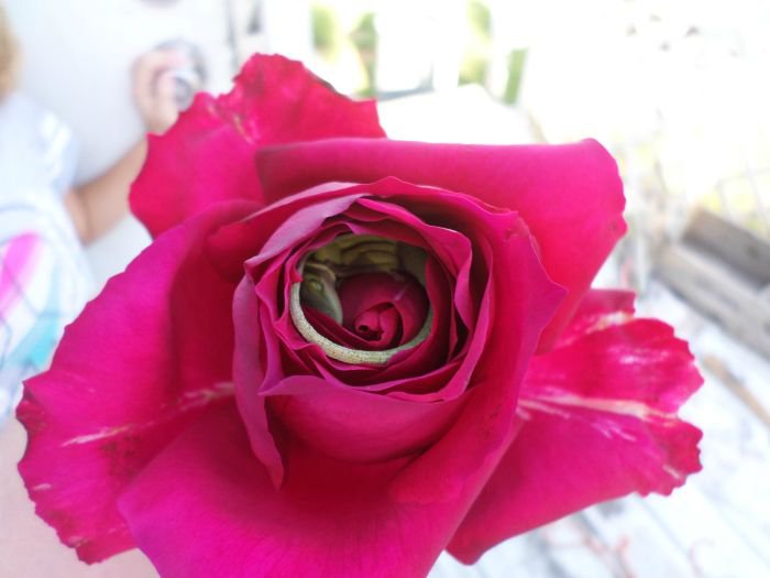 Сюрприз внутри розы (2 фото)