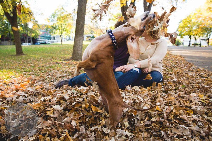 Осенняя фотосессия влюбленной пары пошла не по плану (6 фото)
