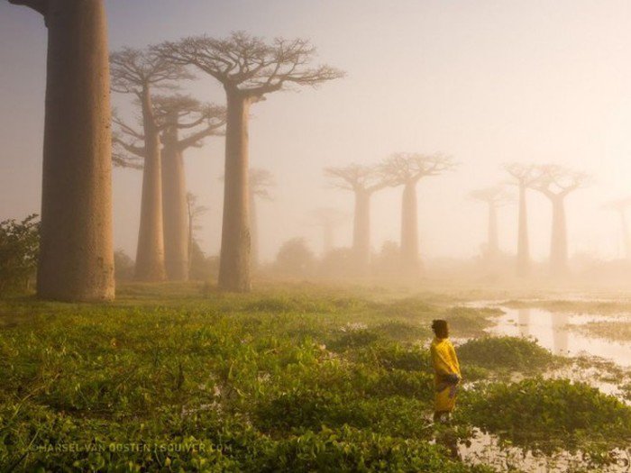 Лучшие фотографии 2015 года от National Geographic (40 фото)