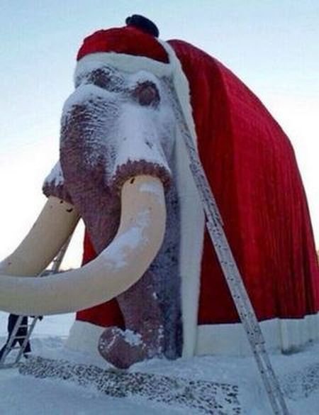 Мамонт-Дед Мороз (2 фото)