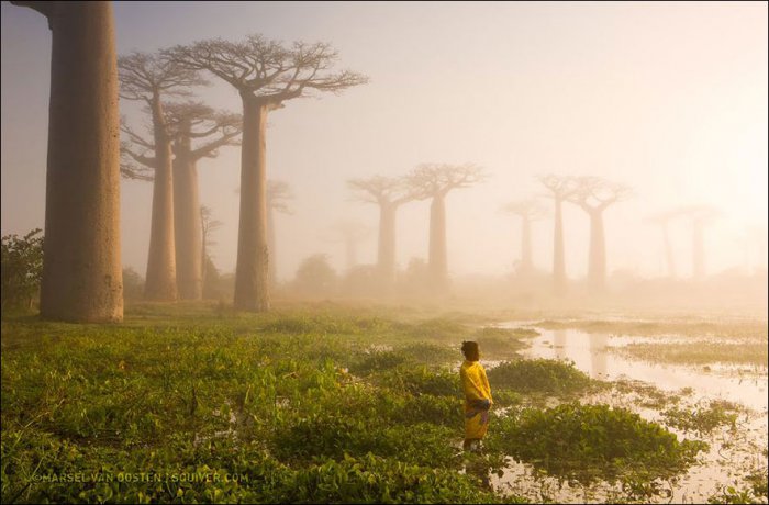 Лучшие снимки 2015 от National Geographic (20 фото)