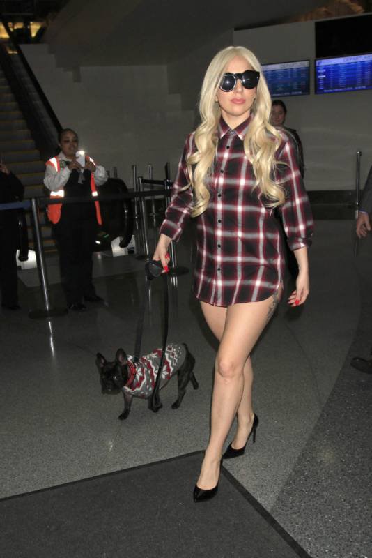 Леди Гага (11 фото)
