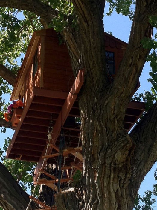 Детский домик на дереве (27 фото)