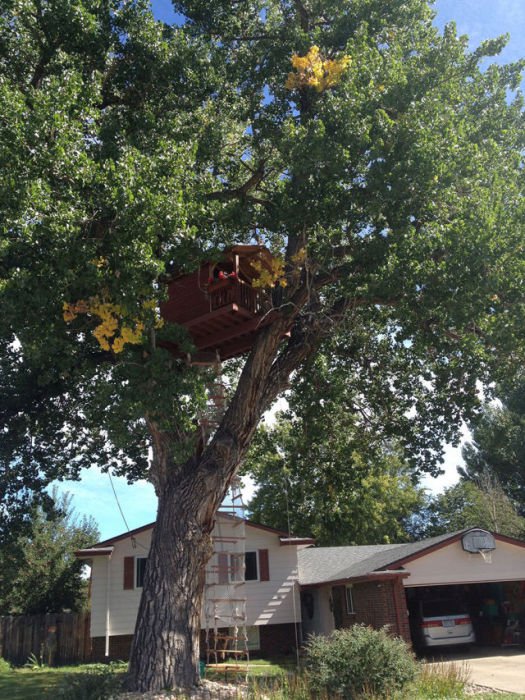 Детский домик на дереве (27 фото)