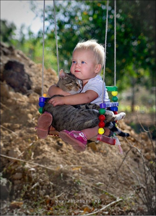 Дети и коты (21 фото)