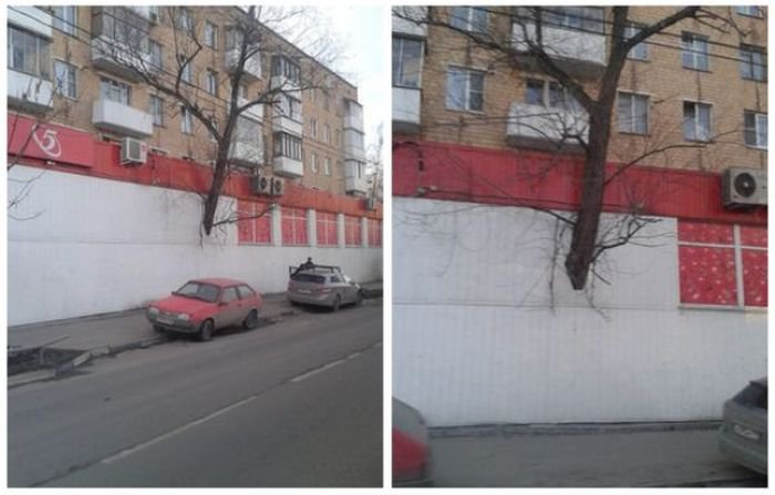 Только в России (40 фото)