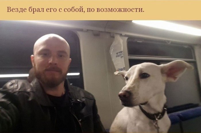 Благодарный пес спас хозяина (7 фото)