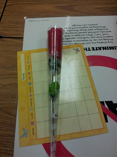 Роза для учительницы (2 фото)