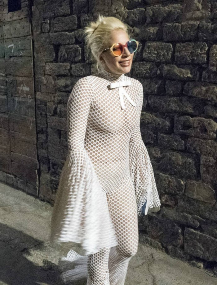 Леди Гага (10 фото)